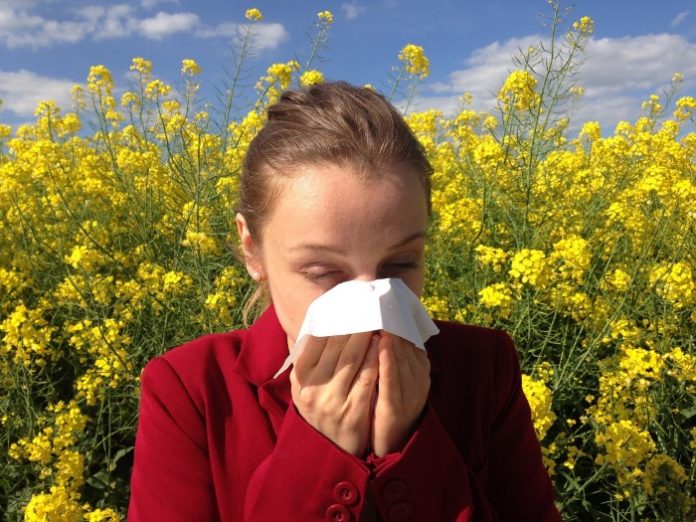 allergie,-de-pita:-“colpiti-9-milioni-di-italiani,-di-piu-le-donne”