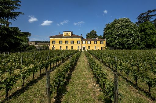 vino,-mosnel-porta-in-anteprima-a-vinitaly-i-suoi-ebb-e-parosé-2018