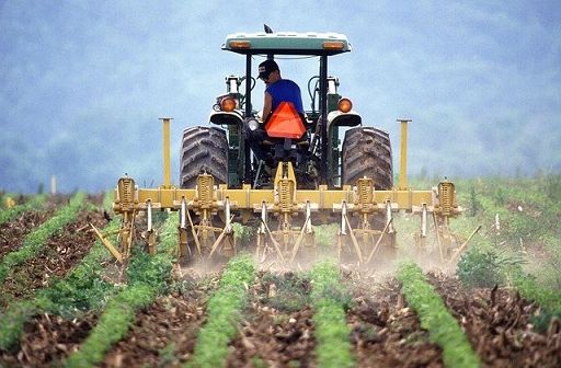 confagri-toscana:-bene-semplificazioni-per-assunzione-stranieri